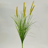 Festuca C/Amenti Cesp. H85 - 231155,70