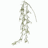 Euphorbia Tirucalli Cadente: piante grasse artificiali di qualità - 232159