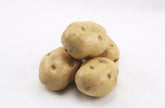 Patata Artificiale H10 D7 Cm - Frutta e Verdura Artificiale Decorativa di Qualità - 257229,00