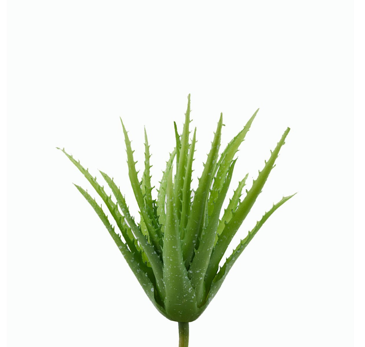 Cespuglio di Aloe: piante artificiali di qualità - 231658,71