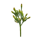 Pianta Artificiale di Sarracenia - Piante artificiali di qualità - 234109