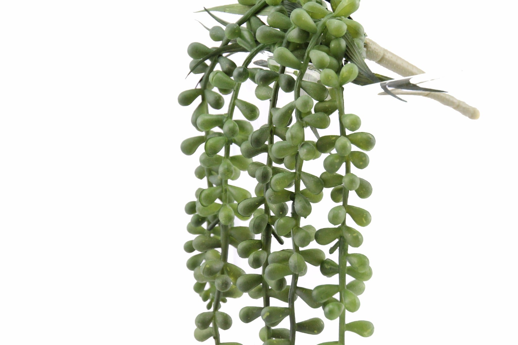 Senecio: piante artificiali di qualità - 231413,71