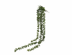 Senecio: piante artificiali di qualità - 231413,71
