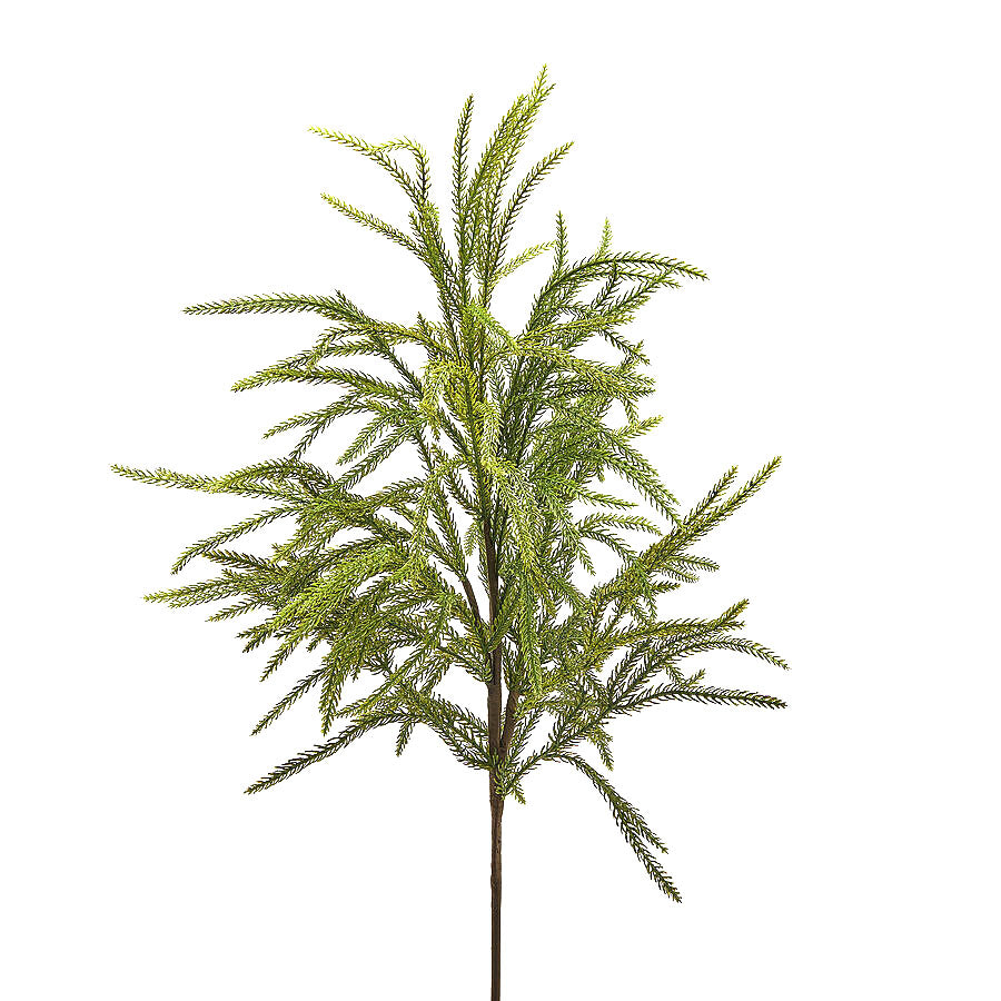 EDG - Enzo De Gasperi Ramo di Cryptomeria Real Touch H71 cm