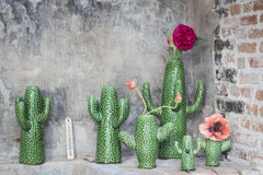 Set Vaso Cactus Serax Mini : set 2 vasi design particolari ceramica - B2516026
