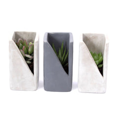 Bomboniere Green: Piantine Grasse in Vasetto di Design Concrete - HAR_KAOQ00