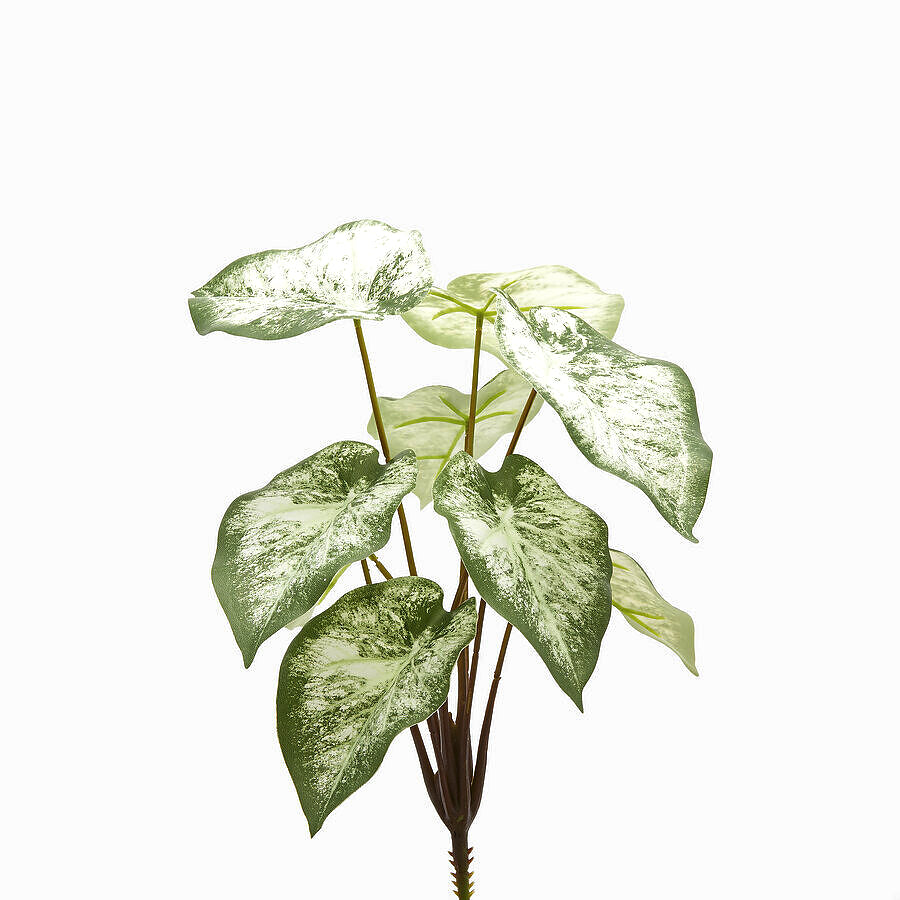 Pianta di Begonia Artificiale Realistica - Foglie Bianche e Verdi