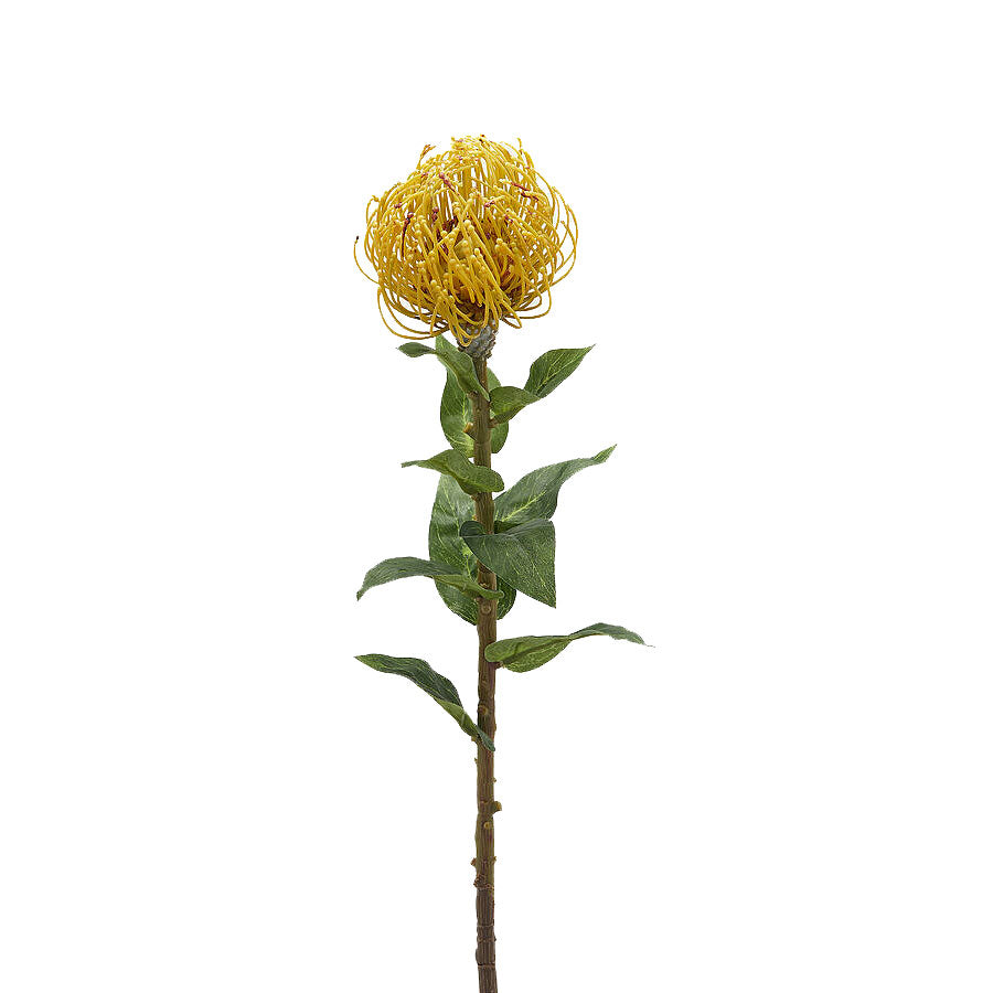 Fiore Artificiale di Protea Giallo con Foglie H76 cm - Fiori Artificiali di Qualit&agrave; - 2100205A240-Giallo