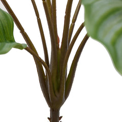 Pianta di Calathea Artificiale x 10 Rami H50 | Piante Artificciali di Qualità