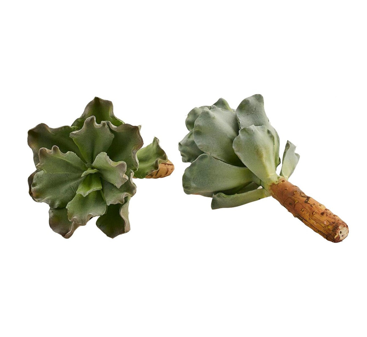 Pianta Succulenta artificiale H22 - 231608,95