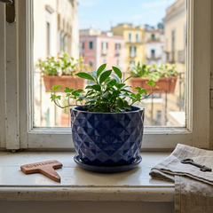 Vaso Cachepot Rombi Blu in Ceramica con Sottovaso H19 D22 – EDG