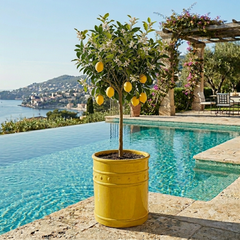 Vaso Cilindrico Glaze Atlas Capri EDG H60 D50 in Ceramica Gialla - Design Italiano