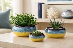 Vaso Ciotola Nuance Giallo/Blu - EDG Enzo De Gasperi