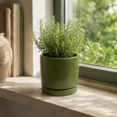 Vaso Glaze Righe Rotondo EDG in Terracotta Verde H16 con Sottopiatto Integrato