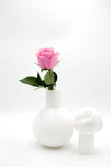 Vaso Luna - 0051279